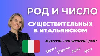 картинка: Итальянские Существительные: ВСЁ, ЧТО НУЖНО ЗНАТЬ НАЧИНАЮЩИМ