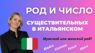 Итальянские Существительные: ВСЁ, ЧТО НУЖНО ЗНАТЬ НАЧИНАЮЩИМ