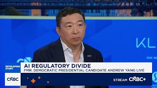 Andrew Yang on AI safety issues: The fear is real, the concern is real