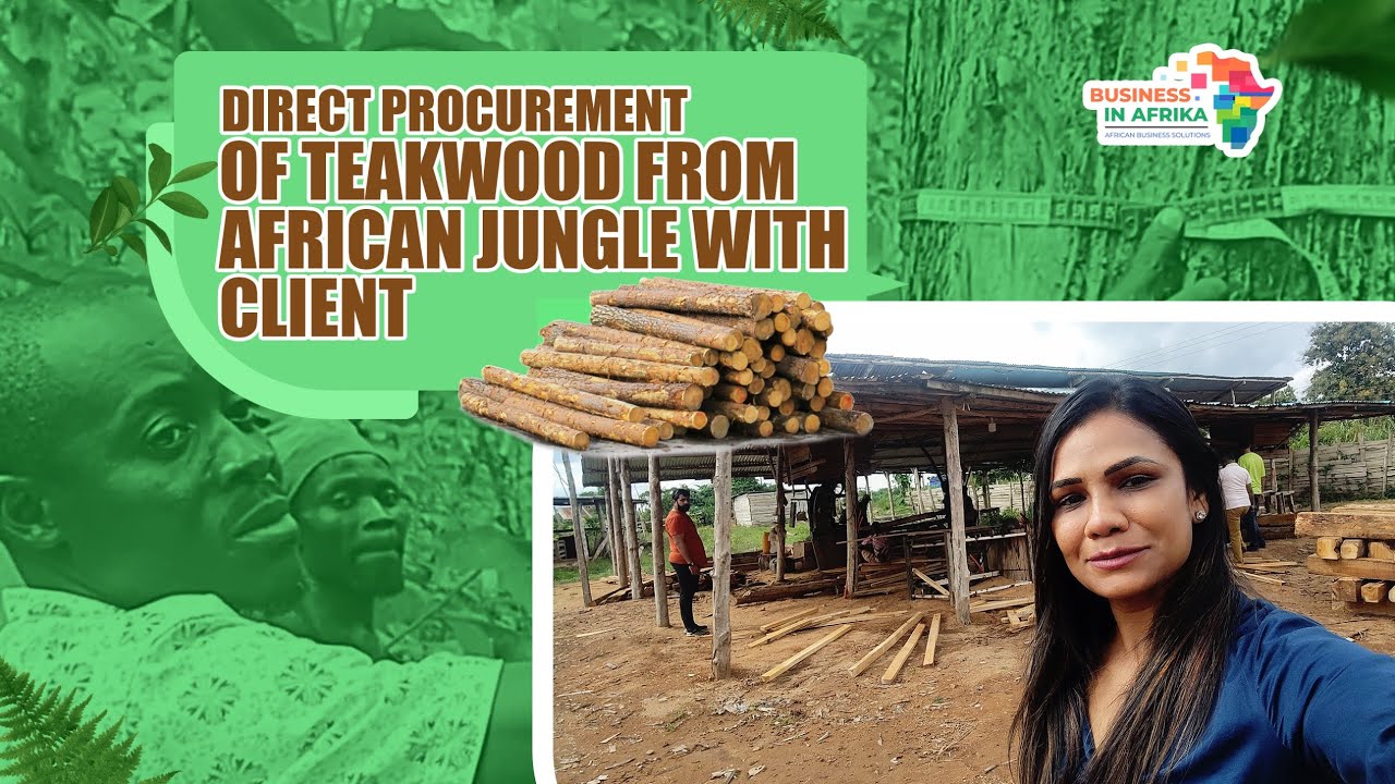𝐃𝐢𝐫𝐞𝐜𝐭 𝐏𝐫𝐨𝐜𝐮𝐫𝐞𝐦𝐞𝐧𝐭 𝐨𝐟 𝐓𝐞𝐚𝐤𝐰𝐨𝐨𝐝 𝐟𝐫𝐨𝐦 𝐀𝐟𝐫𝐢𝐜𝐚𝐧 𝐉𝐮𝐧𝐠𝐥𝐞 𝐰𝐢𝐭𝐡 𝐂𝐥𝐢𝐞𝐧𝐭 #businessinafrika #africa #teakwood