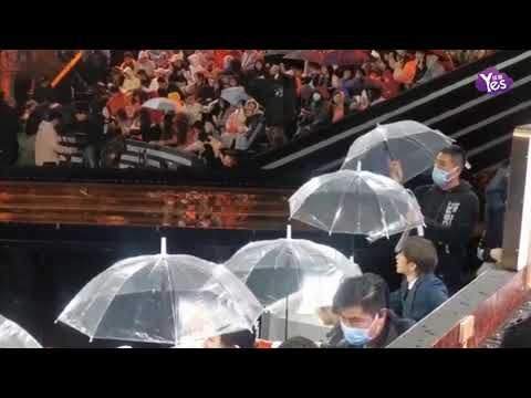 暖心大男孩！蔡徐坤給張凱麗讓傘 小舉動超紳士