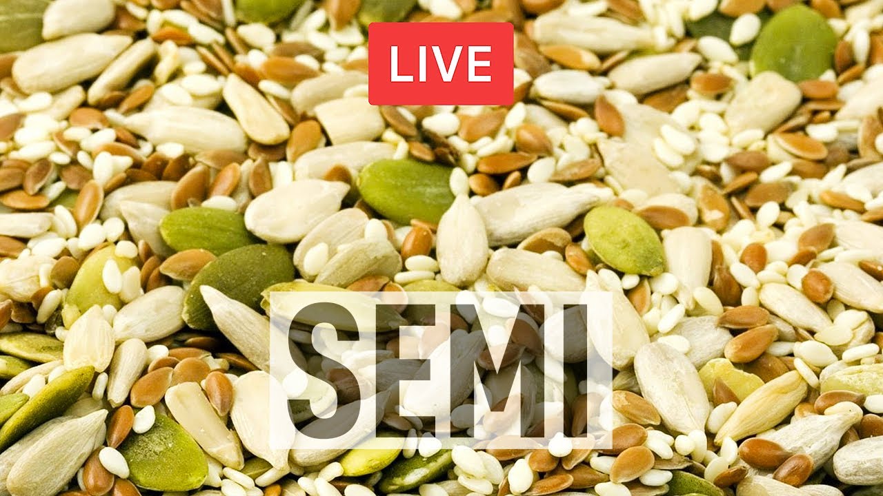 Conservare e riprodurre SEMI per l'orto. Sementi indipendenti con Eva Polare 🔴