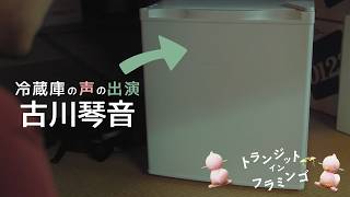 本編映像