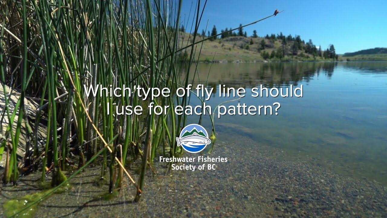 Fly Fishing FAQ: Which type of fly line do I use for each pattern