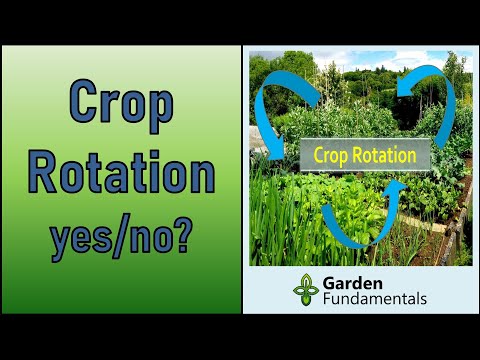 Crop Rotation 🏡 Does it Work in a Garden?