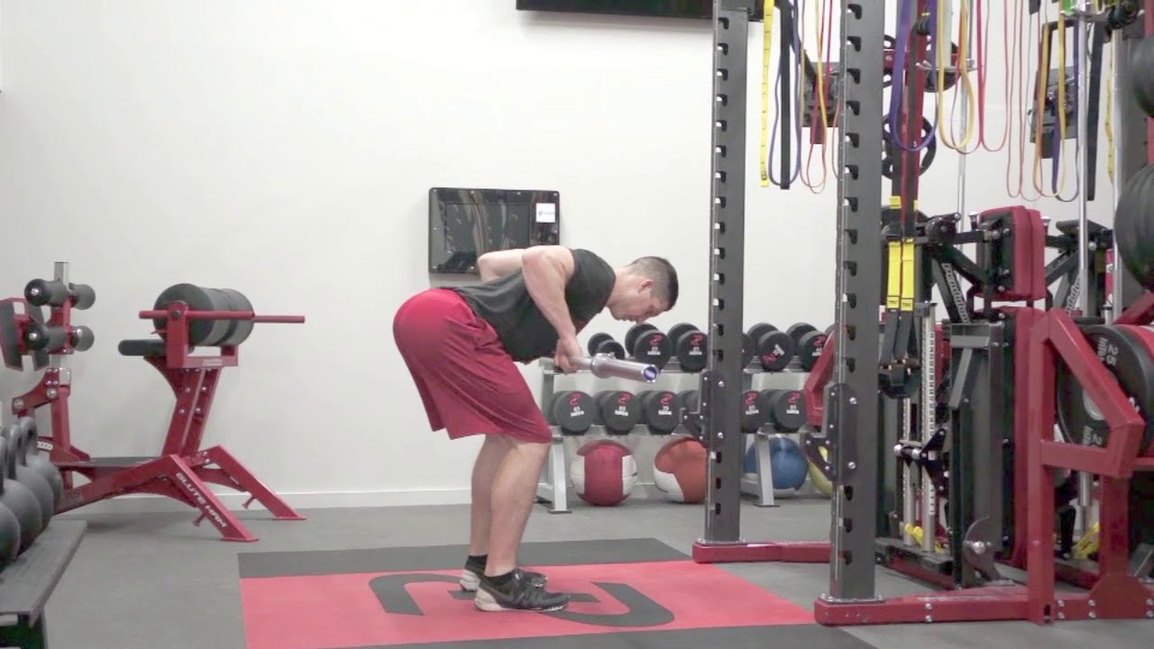 Barbell Bent Over Row Pronated YouTube
