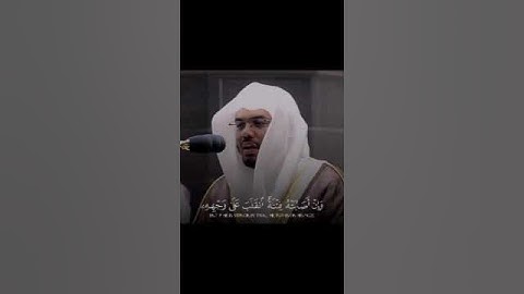#صوت_جميل #شيخ ياسر الدوسري #تلاوة_خاشعة #رح_سمعك #viral#fyp #fyp#300k