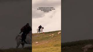 📍Gazantep/Burç Akpınar Köyü Yol Üzeri Otanti̇k At Çi̇ftli̇ği̇ Çifliği