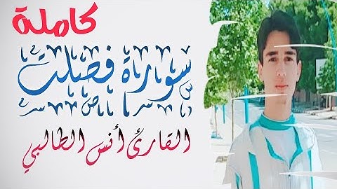 القارئ أنس الطالبي يحبر المقامات الأربع في تلاوة آسرة لسورة فصلت