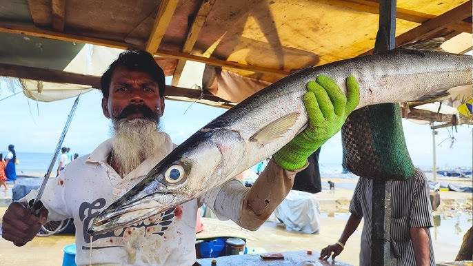 Qattiq mushukka mos kelmaydi