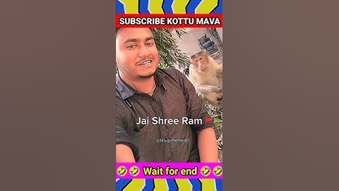 Jai shree Ram #love #ram  #monkey #hanuman #shorts #trending