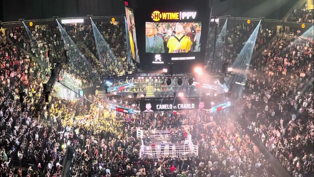 Canelo Alvarez Entrance YouTube