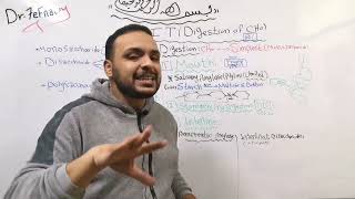 1- GIT (Digestion & Absorption of Carbohydrates)