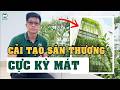 Cải tạo SÂN THƯỢNG cực kỳ mát và thẩm mỹ với loại cây quen thuộc