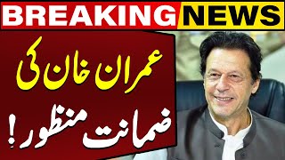 Imran Khan gets Bail | Breaking News | Capital TV