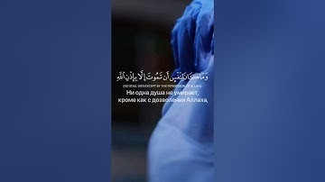 { وَمَا كَانَ لِنَفْسٍ أَنْ تَمُوتَ إِلَّا بِإِذْنِ اللَّهِ كِتَابًا مُؤَجَّلًا ۗ }سورة آل عمران 145