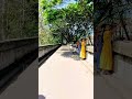 Akbar bridge  university of peradeniya walking tour   sri lanka  4k   asmr