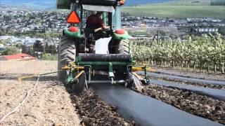 2015 Pepper Planting