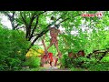 #shorts​ Сиреноголовый в Реальной Жизни !! Встретили Сиреноголового возле Заброшки в Лесу | Jammy TV