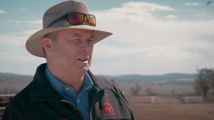 NH Foods Australia - Bective Station Feedlot - 2019 Most Outstanding MSA Beef Producer (MLA)