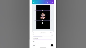 How To Make Outlines Of Picture In Canva | Canva Tutorial || Rajesh