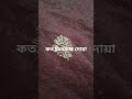 নবীজির চমৎকার কিছু কথা 🤲 #shorts #viral #islamic #trending #short #video #religionম