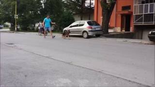 Santos Noster Amicus-5 months old movement