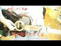 ♪悲しみと美♪Chara cover(ギター弾き語り)