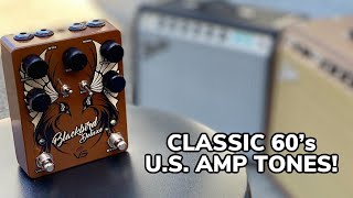 60's AMERICAN AMP TONES! VS Audio BLACKBIRD DELUXE - YouTube