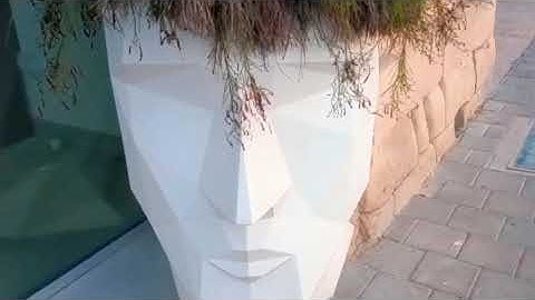 #5344 TRAVEL TIME - Rolling Geeks Plant Display (Part 1), Birgu, Malta, Europe 