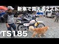 新車！TS185参考動画「今唯一新車で手に入る2ストスクランブラー」