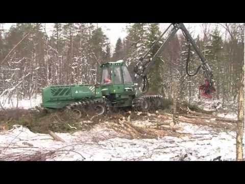 Video: Typer Och Sorter Av Viburnum (47 Foton): Sargent Och 