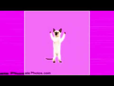 𝐌𝐎𝐍𝐓𝐀𝐆𝐄𝐌 𝐎𝐑𝐁𝐈𝐓𝐀𝐋 𝐄𝐒𝐏𝐄𝐂𝐀 𝐄𝐗𝐓𝐄𝐍𝐃𝐄𝐃 𝐑𝐄𝐕𝐄𝐑𝐁 𝟏 𝐇𝐎𝐔𝐑 