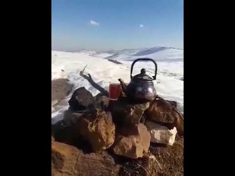 حالة واتس ريم السواس ياريتني عصفورة 