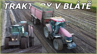 Siláže v mokrých podmínkách 🚜 Traktory na blátě 🌽 Mokre koszenie kukurydzy