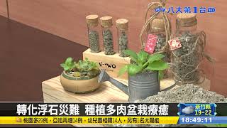鋪步道、種多肉 火山浮石變福石 #八大民生新聞 2022012608