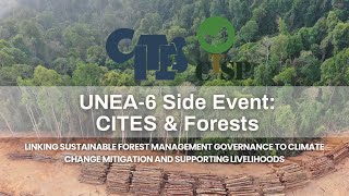 UNEA-6 MEA side event: CITES & Forests