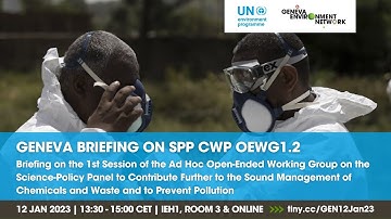 Briefing | OEWG 1.2 Science-Policy Panel on Sound Management of Chemicals and Waste and Pollution
