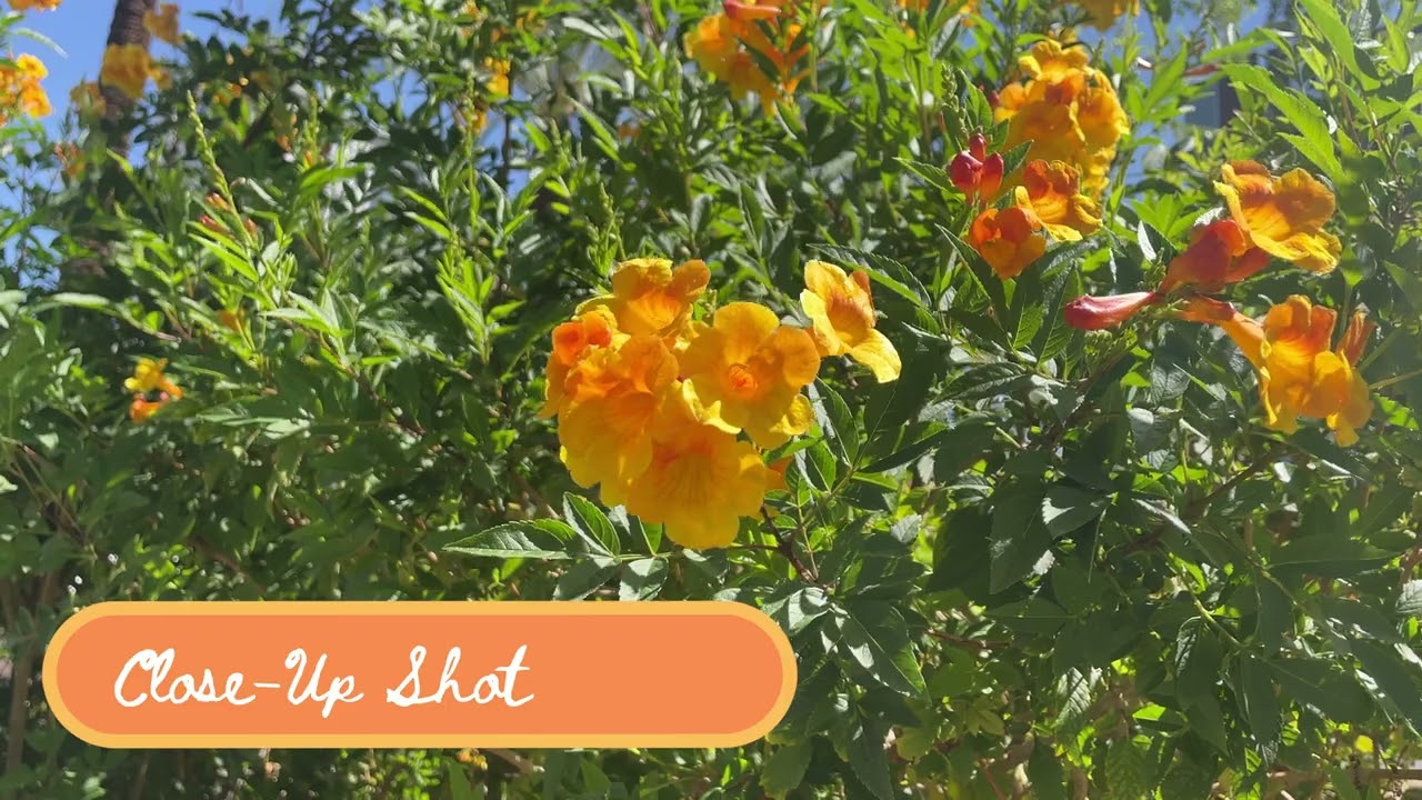 Advanced Editing Lab - Kate Nakamura