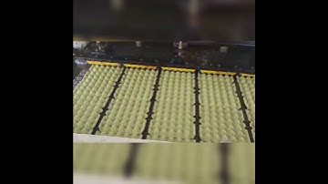 Green egg package production line with brick dryer making 5000-6000 pcs/hr egg trays