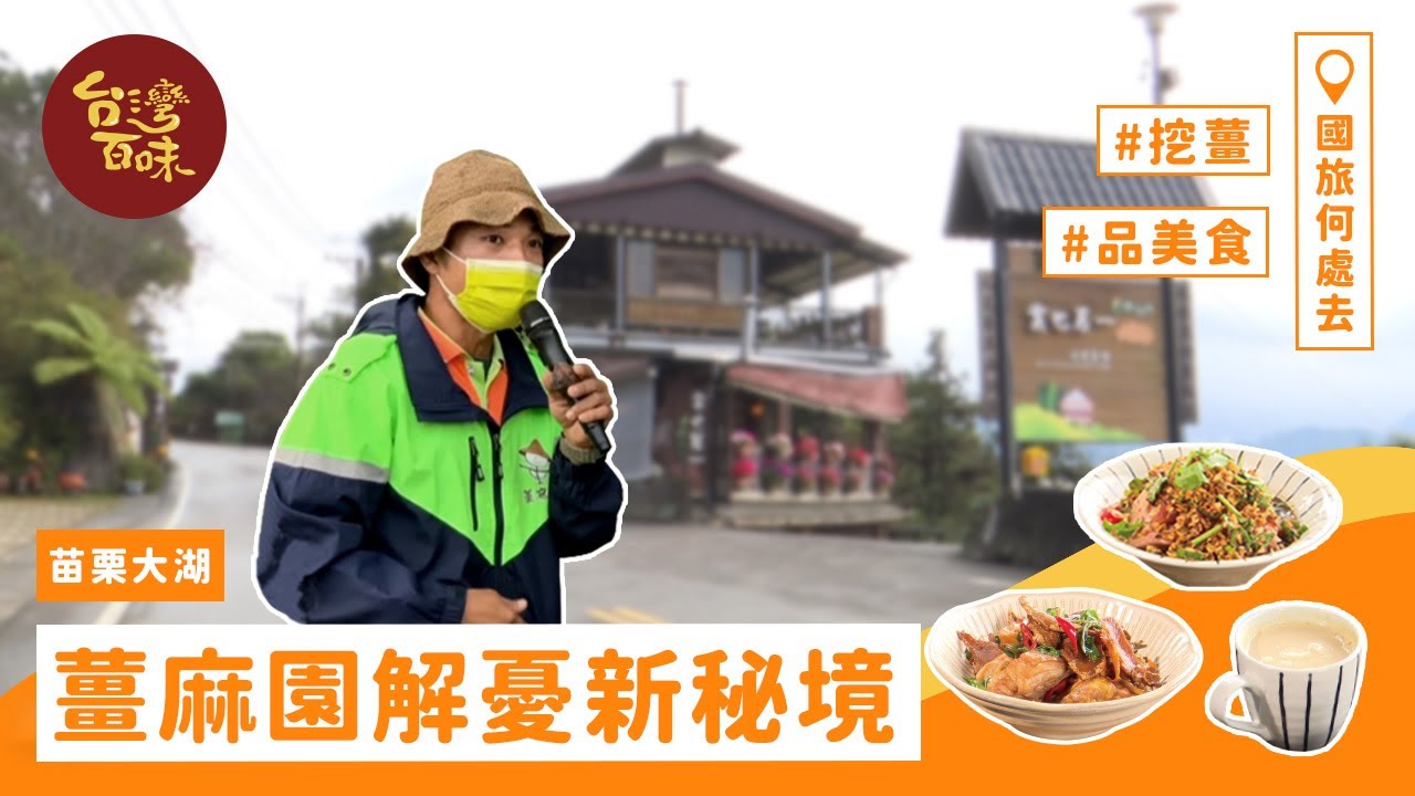 【國旅何處去】[苗栗大湖] 薑麻園解憂新秘境 挖薑 品美食 享自然_台灣百味3.0 280《雲也居一休閒農場》、《苗栗縣薑麻園發展協會》