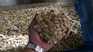 GroTech Cashew Color Sorter Machine-Color Sorting Video in Vietnam