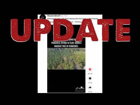 Important update on "Tree Being Ripped up by a Giant" video!