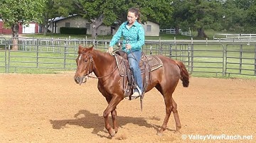 Smart Badger Lena - riding in outdoor arena #2 - Valley View Ranch