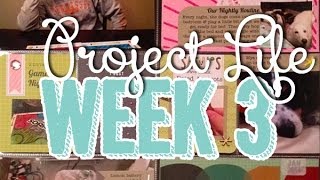 SP Episode 314: Week 3 Project Life Process using Studio Calico Copper Mountain Kit