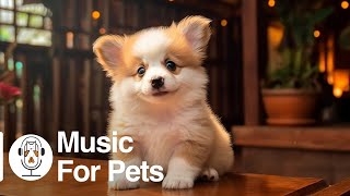 Music to Relax Dogs  Soothing Music for Your Baby Pets, Calming Sleep Music #2
