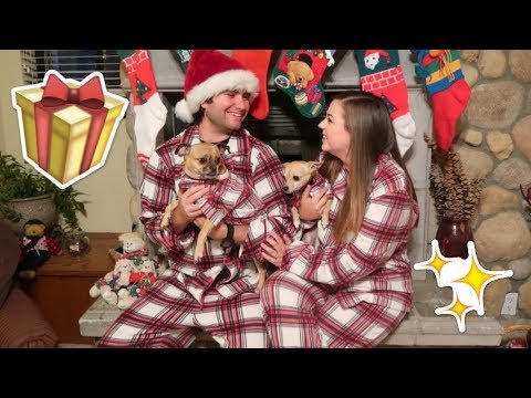 christmas-eve-pajama-party-with-our-dogs!!-vlogmas-day-24!