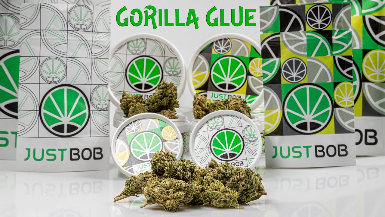Gorilla Glue CBD - CBD Weed - JustBob ENG 2022
