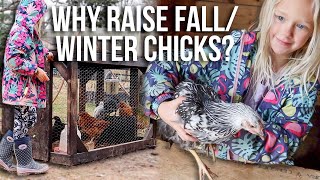 FALL OR SPRING CHICKS? Pros & Cons / Brooder Tour & Morning Winter Routine.