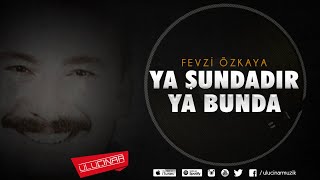 Fevzi Özkaya - Ayrılık Ateşten Bir Ok Resimi